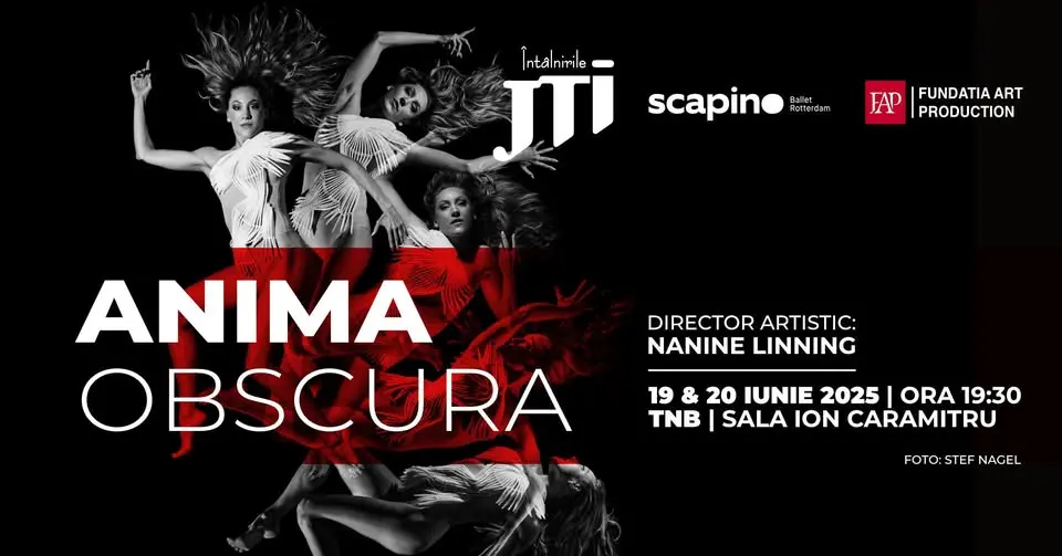 Anima Obscura